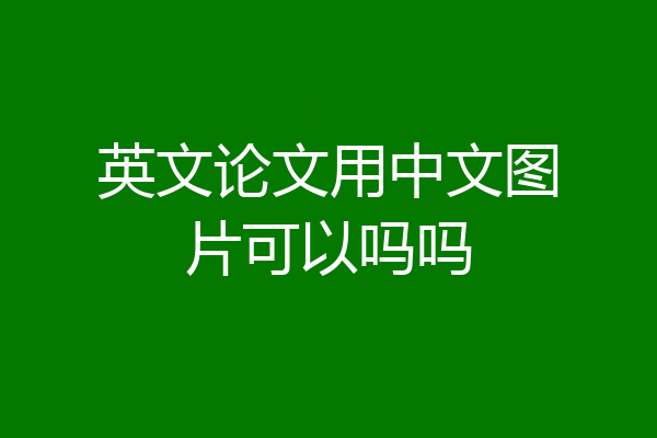 英文论文用中文图片可以吗吗