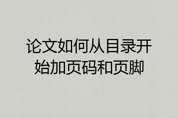 论文如何从目录开始加页码和页脚