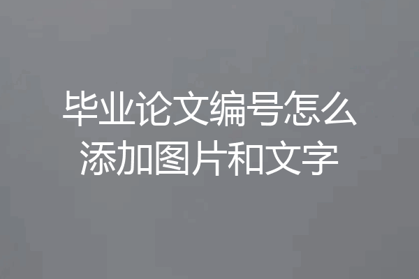 毕业论文编号怎么添加图片和文字