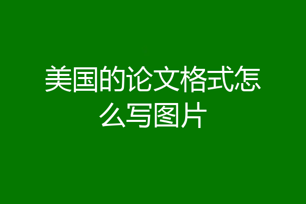 美国的论文格式怎么写图片
