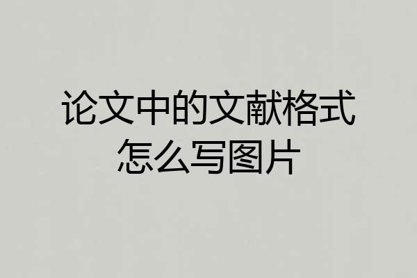 论文中的文献格式怎么写图片