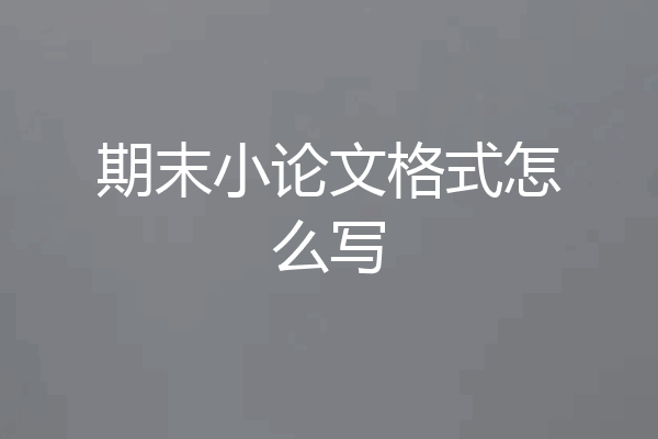 期末小论文格式怎么写