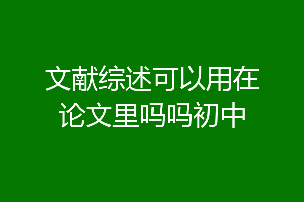 文献综述可以用在论文里吗吗初中