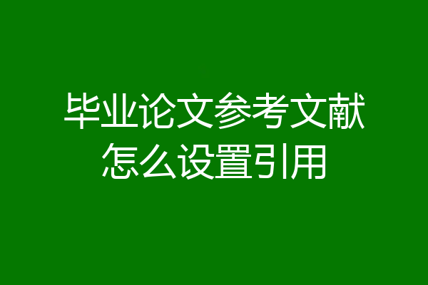 毕业论文参考文献怎么设置引用