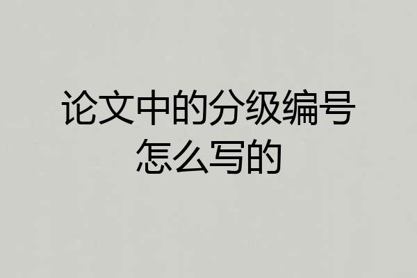 论文中的分级编号怎么写的