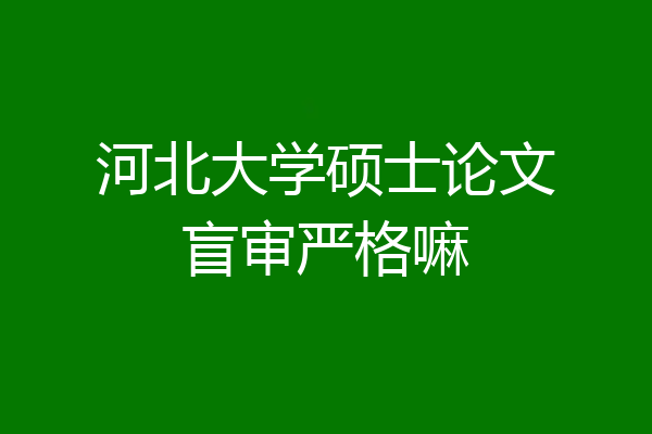 河北大学硕士论文盲审严格嘛
