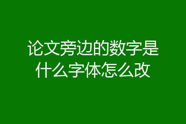 论文旁边的数字是什么字体怎么改