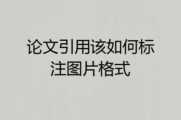 论文引用该如何标注图片格式