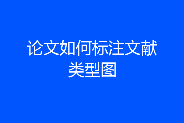论文如何标注文献类型图