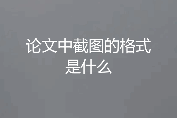 论文中截图的格式是什么