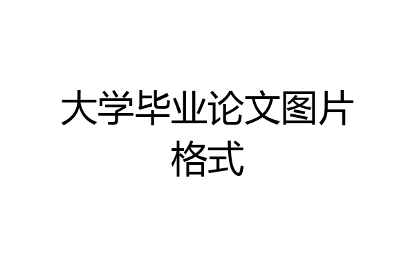 大学毕业论文图片格式