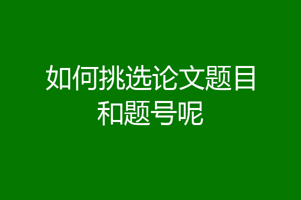 如何挑选论文题目和题号呢
