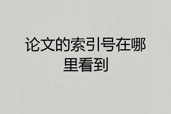 论文的索引号在哪里看到