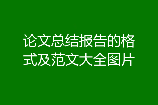 论文总结报告的格式及范文大全图片