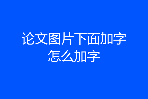 论文图片下面加字怎么加字
