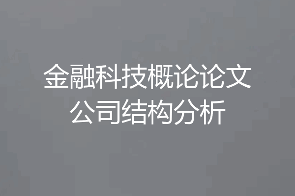 金融科技概论论文公司结构分析