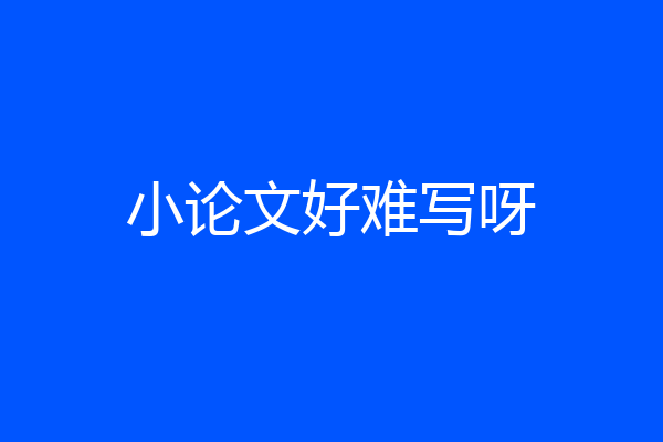小论文好难写呀