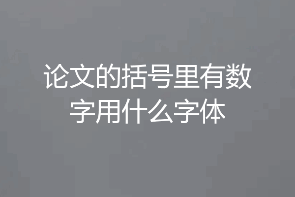 论文的括号里有数字用什么字体