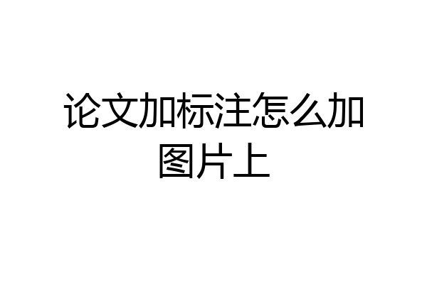 论文加标注怎么加图片上