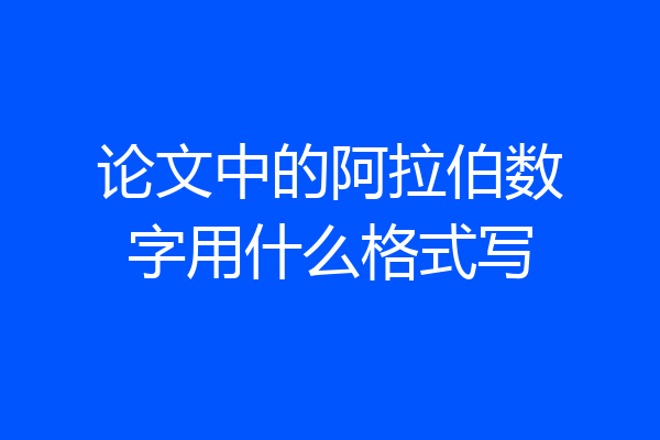 论文中的阿拉伯数字用什么格式写