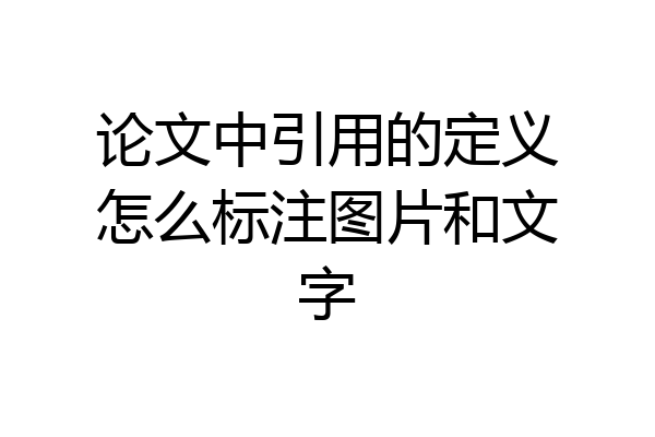 论文中引用的定义怎么标注图片和文字