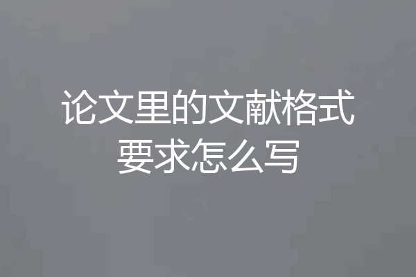 论文里的文献格式要求怎么写