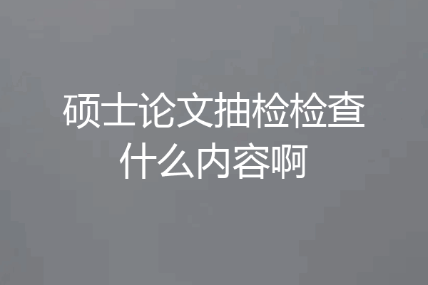 硕士论文抽检检查什么内容啊