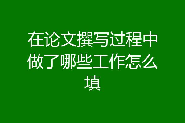 在论文撰写过程中做了哪些工作怎么填