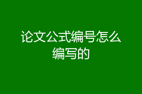 论文公式编号怎么编写的