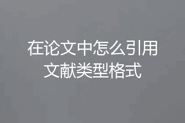 在论文中怎么引用文献类型格式