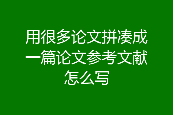 用很多论文拼凑成一篇论文参考文献怎么写