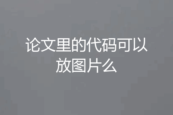 论文里的代码可以放图片么