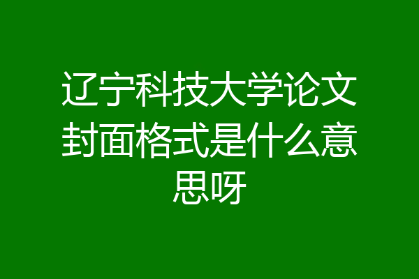 辽宁科技大学论文封面格式是什么意思呀