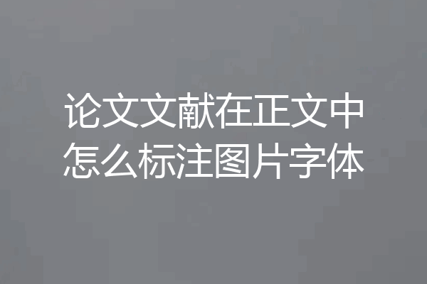 论文文献在正文中怎么标注图片字体