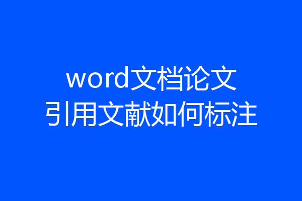 word文档论文引用文献如何标注