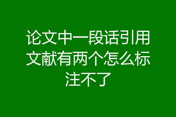 论文中一段话引用文献有两个怎么标注不了