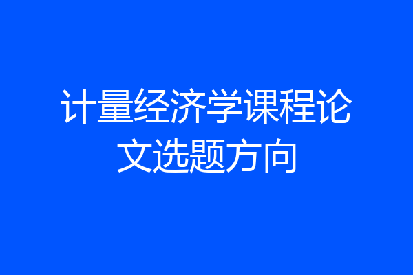 计量经济学课程论文选题方向