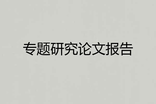 专题研究论文报告