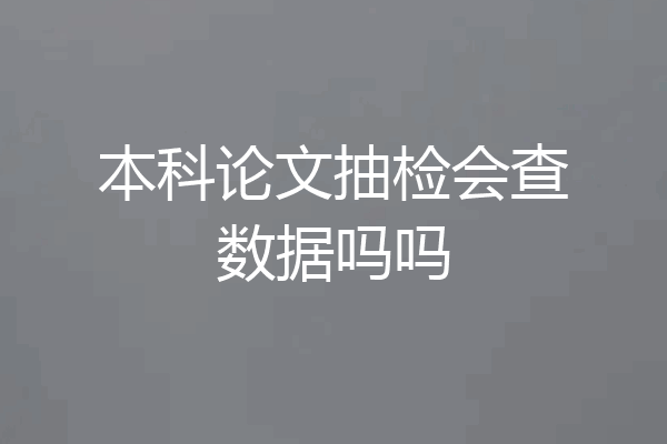 本科论文抽检会查数据吗吗