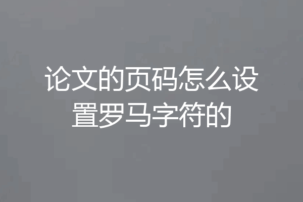 论文的页码怎么设置罗马字符的