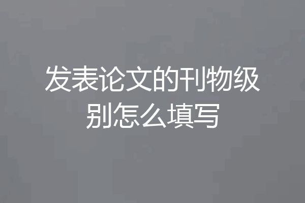 发表论文的刊物级别怎么填写