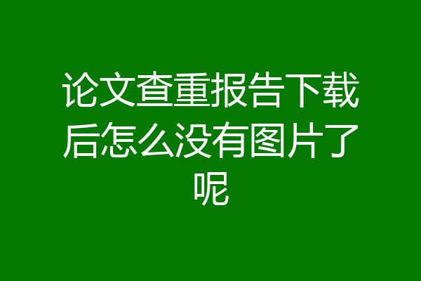 论文查重报告下载后怎么没有图片了呢