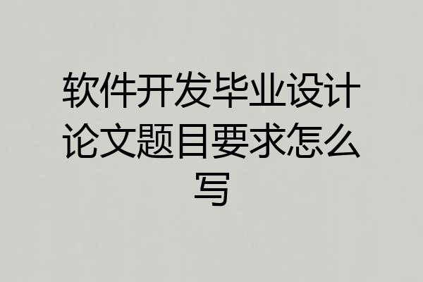 软件开发毕业设计论文题目要求怎么写