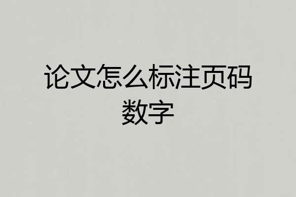 论文怎么标注页码数字