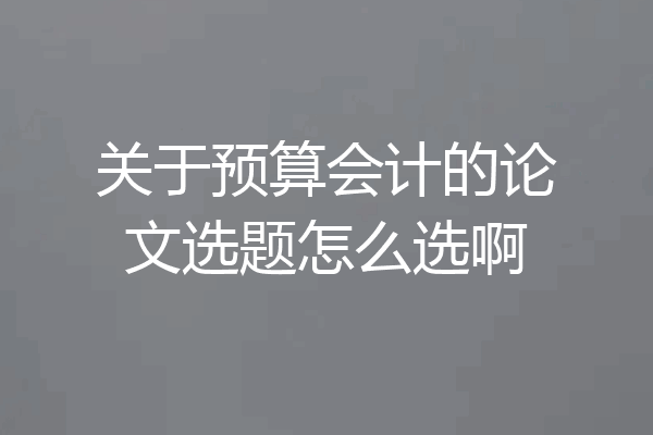 关于预算会计的论文选题怎么选啊