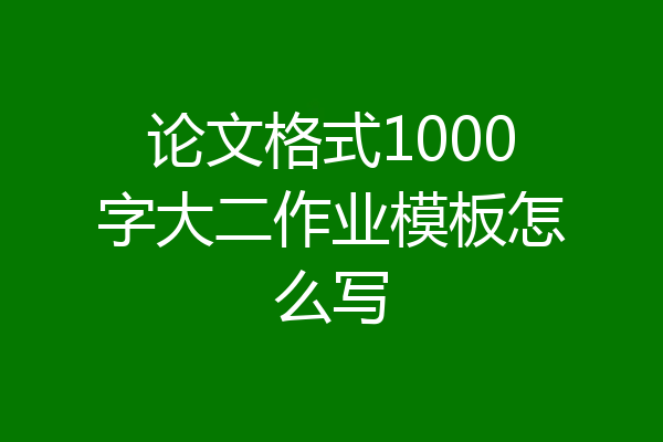 论文格式1000字大二作业模板怎么写