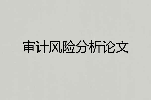 审计风险分析论文