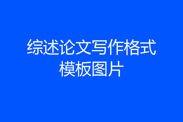 综述论文写作格式模板图片