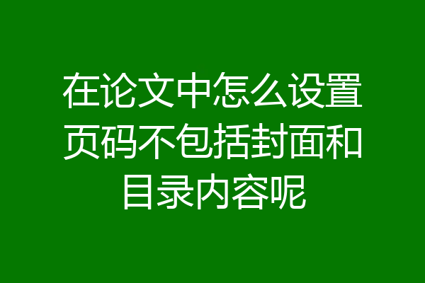 在论文中怎么设置页码不包括封面和目录内容呢