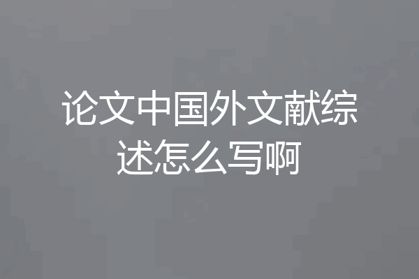 论文中国外文献综述怎么写啊